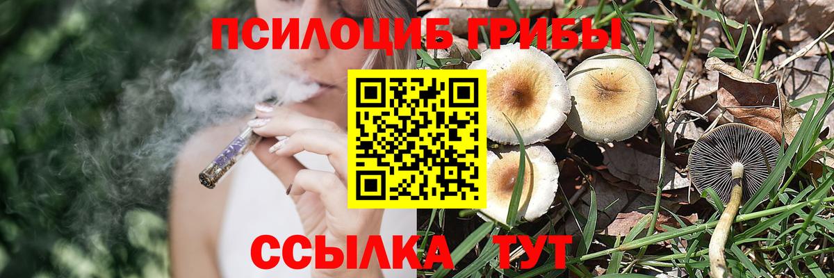 Псилоцибиновые грибы Cubensis Сердобск