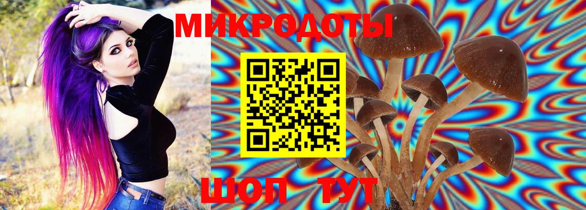 Галлюциногенные грибы Cubensis  Псилоцибиновые грибы MAGIC MUSHROOMS  Сердобск  Вход с VPN 